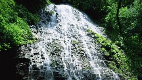 节能高效智能系统